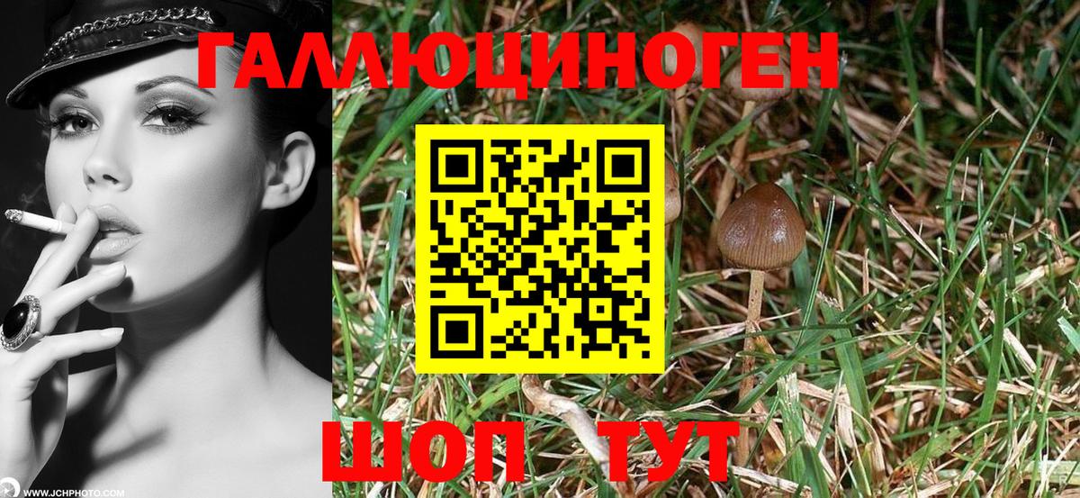 Саратов  Галлюциногенные грибы Magic Shrooms  Вход с VPN 